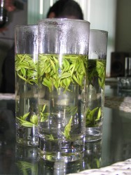 Teblade brygges direkte i glasset